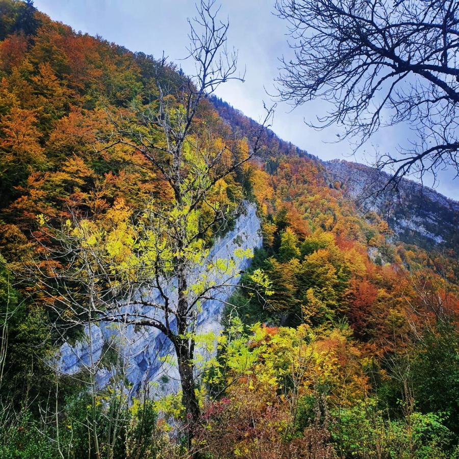 Gite Les Moulins Septmoncel-Les-Molunes エクステリア 写真